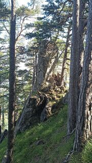 Foto från Bergpirat under resans gång