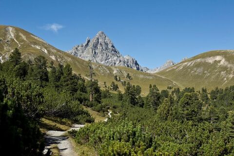 Val Mingèr