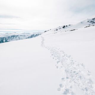 Schneeschuhtrail Panüöl -Prodalp