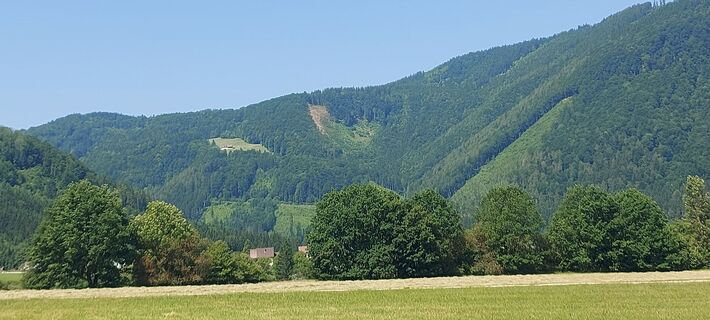 Foto de Klaus Gruber 3 a lo largo del recorrido