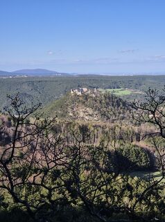 Photo de Patrick82 le long du parcours