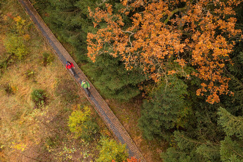 Wanderer auf Steg im Herbst auf dem Moore-Pfad Schneifel