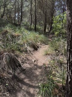 Fotografie de la Felix Wieland de-a lungul turului