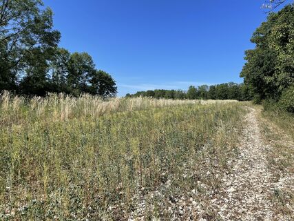 Photo de holgerwag le long du parcours