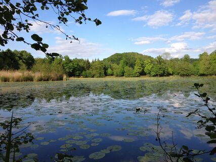 Bleichsee Löwenstein
