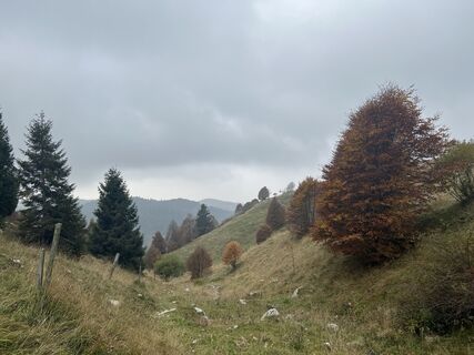 Fotografie z Nicola Biancardi na trase