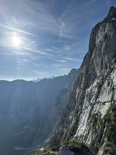 Photo de Fuchsi le long du parcours