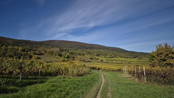 Fotografia z Wörni68 na trase