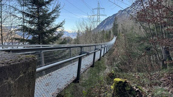 Fotografija s spletne strani peter_oe na poti