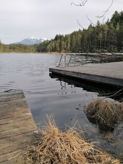 Fotografia z Dagmar Hofer na trase