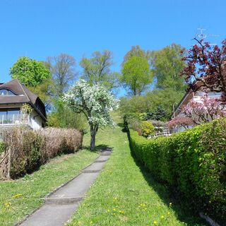 Weg zum Höhrenberg