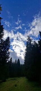 Fotografia z Mario Thomaschütz na trase