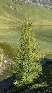 Fotó a Marco Musio honlapról a túra során