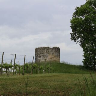 IMG_0600