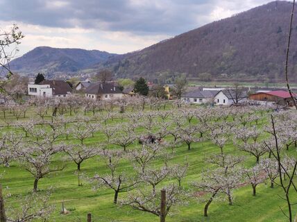 Foto de PeSol a lo largo del recorrido