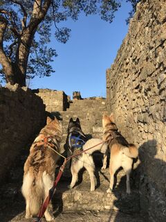 Foto von Mathias Junge 1 entlang der Tour