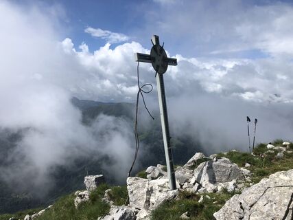 Fotografia z Harald Salcher na trase