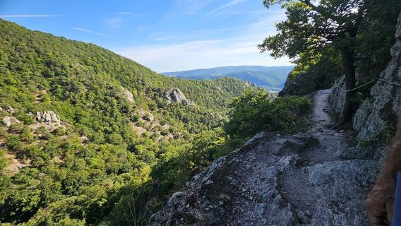 Fotografia z Herbert Lindner 1 na trase