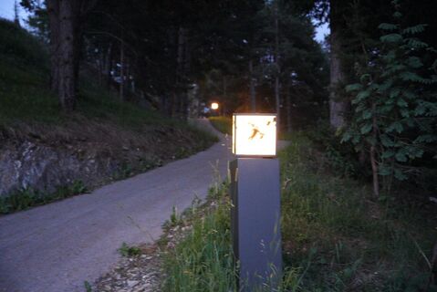 Lichtblicke