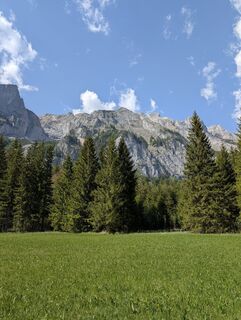 Photo de danistachi le long du parcours