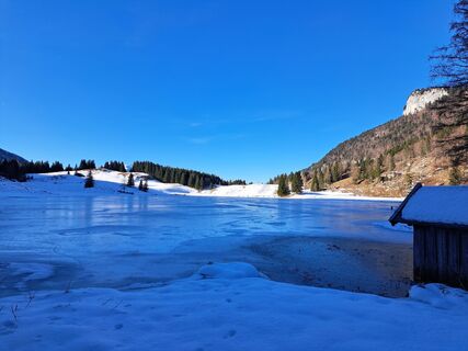 Fotografia z Walter Köllner na trase
