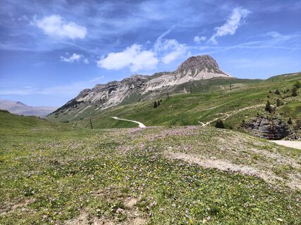 Foto von Princi entlang der Tour
