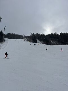 Fotografija s spletne strani Lotte Tzschach na poti