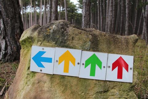 Laufstrecke Föhrenwald Orientierungspfeile