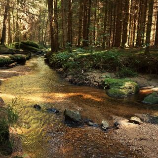 Zwettlfluss bei Klauskapelle