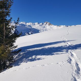 Schneeschuhtrail Panüöl-Prodalp
