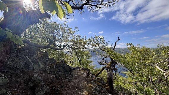 Photo de Eva T. le long du parcours