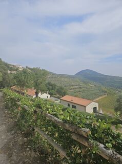 Fotografija s spletne strani Eli na poti