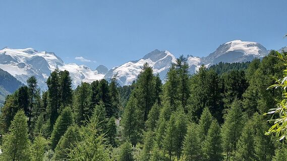 Morteratsch - Boval-Hütte