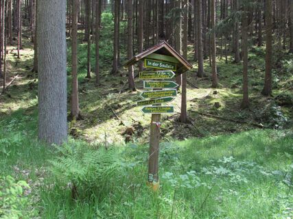 In der Sausetelle