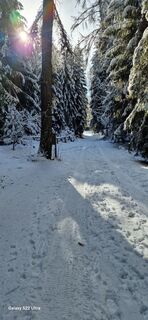 Fotografia z Mario Augustini na trase