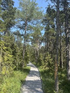 Photo de Sina Johanna le long du parcours