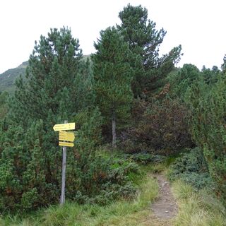 Start der Wanderung am Weg Niedertal