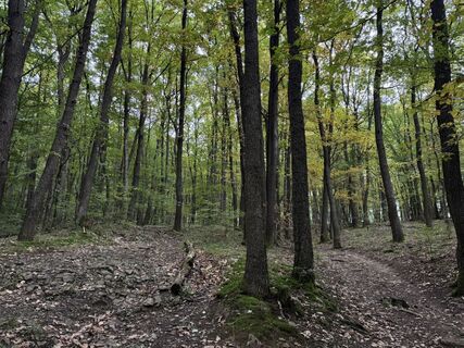 Фото с сайта Iulia Rubtsova во время экскурсии