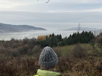 Foto von Pálffy Zoltán entlang der Tour