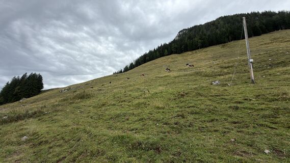 Foto de nordsee.fan a lo largo del recorrido