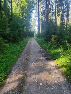 Photo de Auer Robert le long du parcours