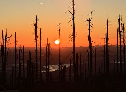 Foto von Dani Geiger / Natur_erleben_dg entlang der Tour