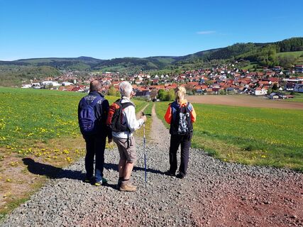 Blick auf Floh-Seligenthal