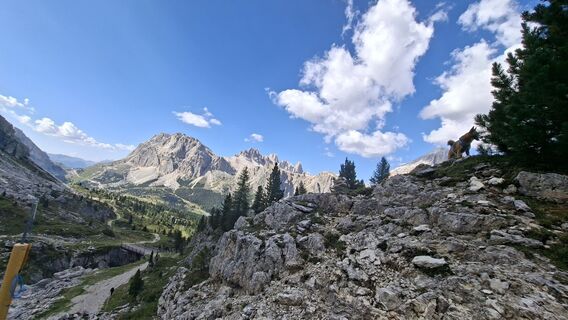 Foto von Martin Kreidl 3 entlang der Tour