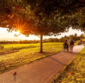 EIne Person im Rollstuhl befindet sich mit zweiter Person auf einem Weg, der von Bäumen umgeben ist. Im Hintergrund ghet die Sonne unter.