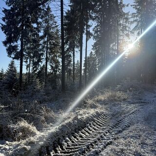 Foto från Steffen Kiesel under resans gång
