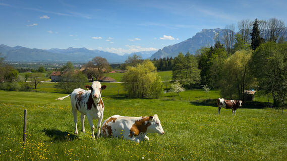 260503 - Höglrunde