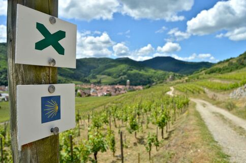 Weinbergswanderung Kaysersberg Sigolsheim
