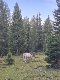 Photo de Miriamhaferkamp le long du parcours