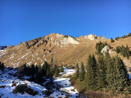 Fotografia z skibbeldiwapwap na trase